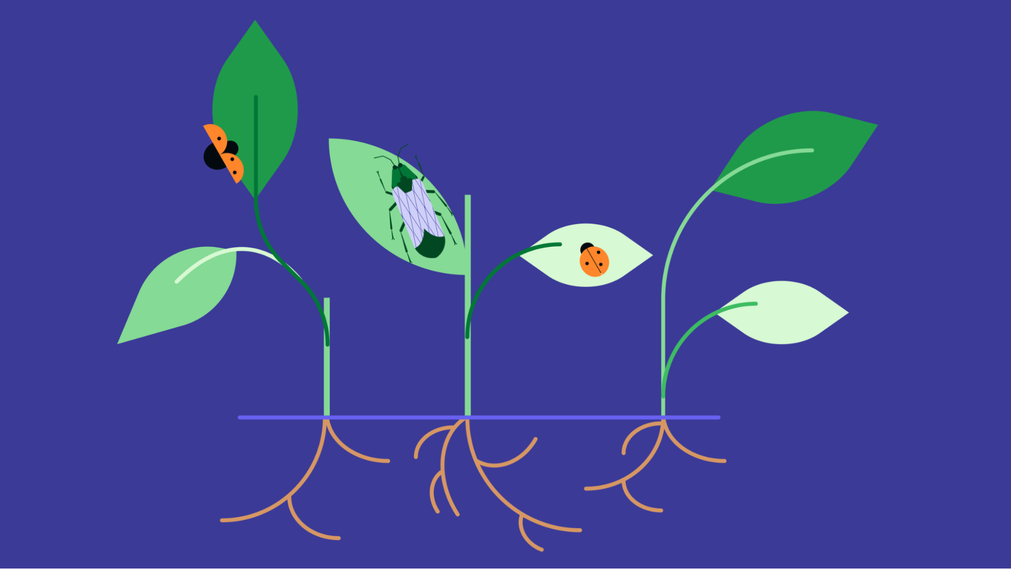 Expanding Business Td Bank Brandvoice Expanding Your Business Here S