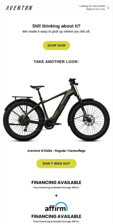 Abandoned cart email e-commerce example