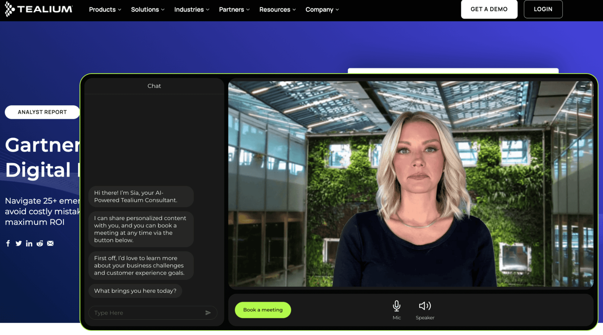 B2B framework Tealium AI support