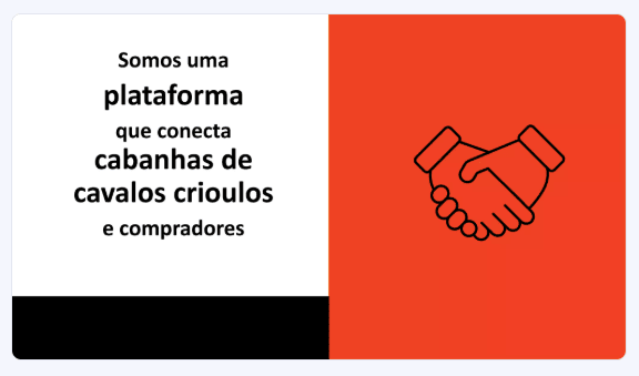 modelos de apresentação para clientes Cavalo Crioulo