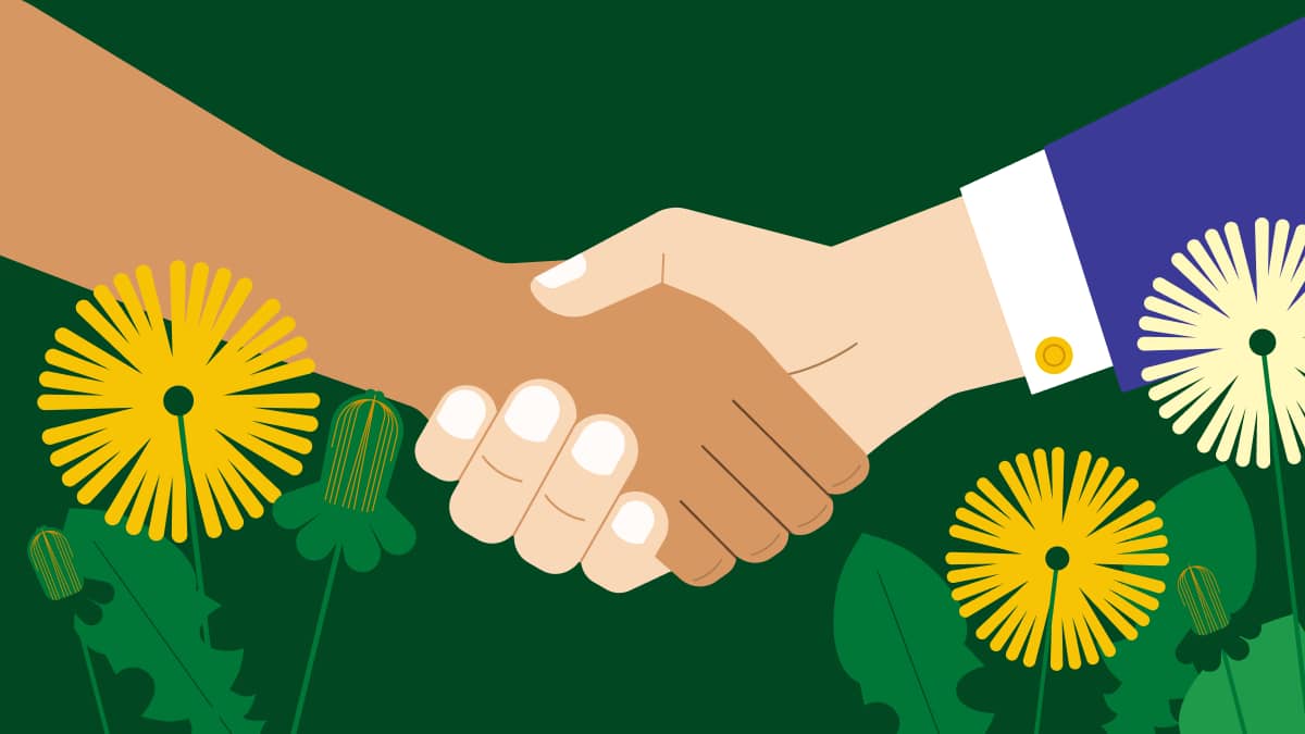 Customer intimacy strategy on how to build lasting relationships, with real examples