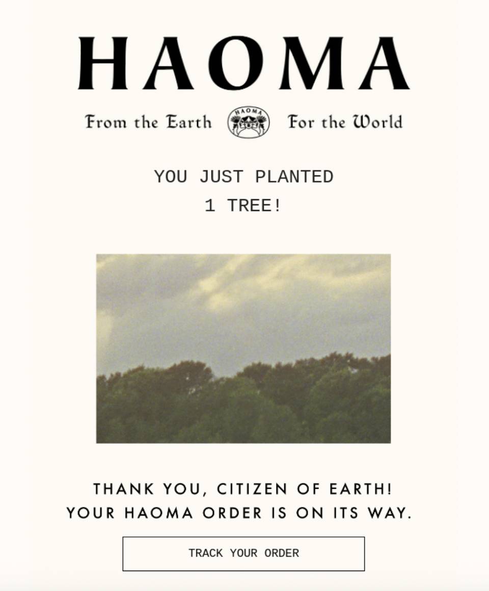 Customer touchpoints Haoma purchase email 