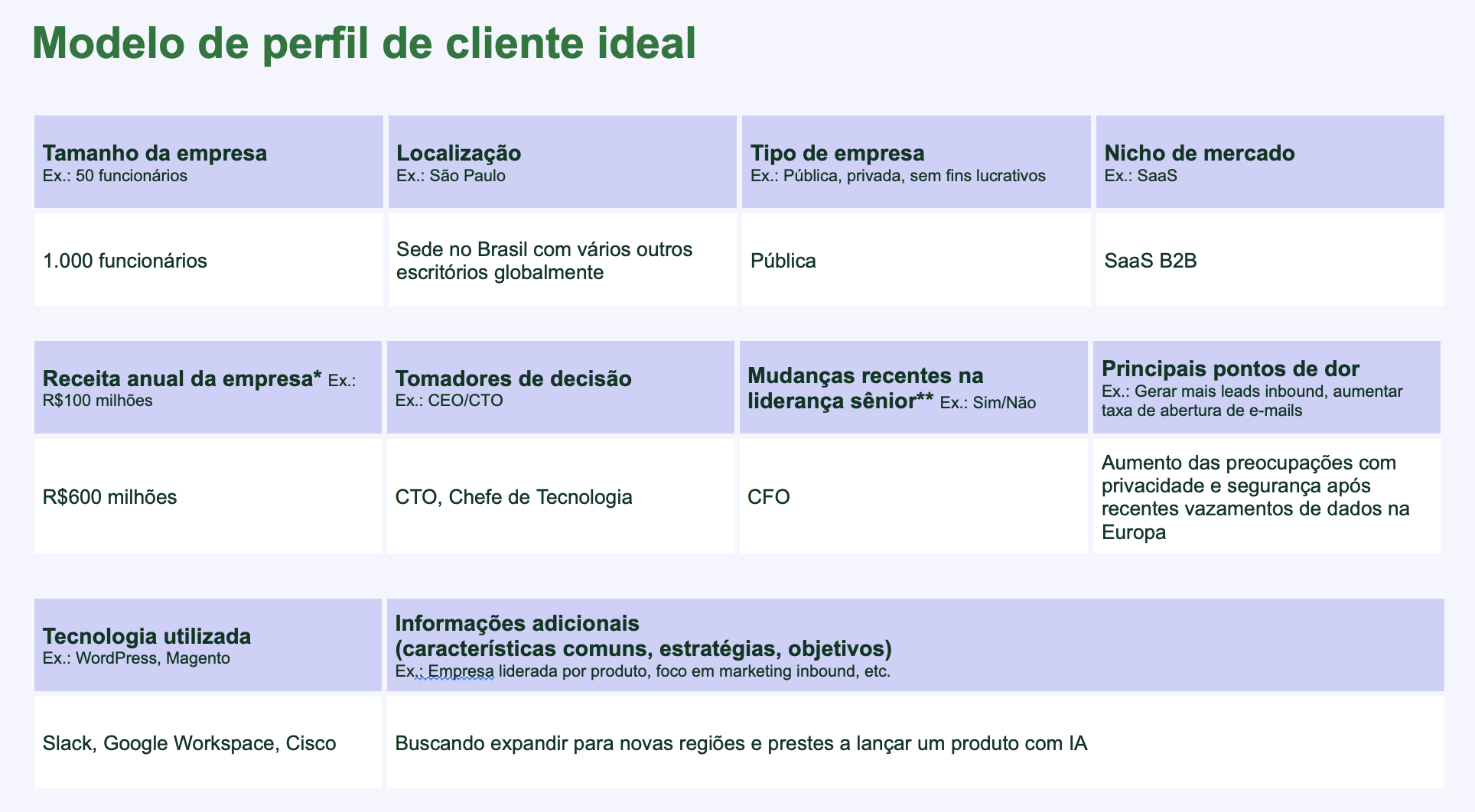 Modelo de perfil cliente ideal