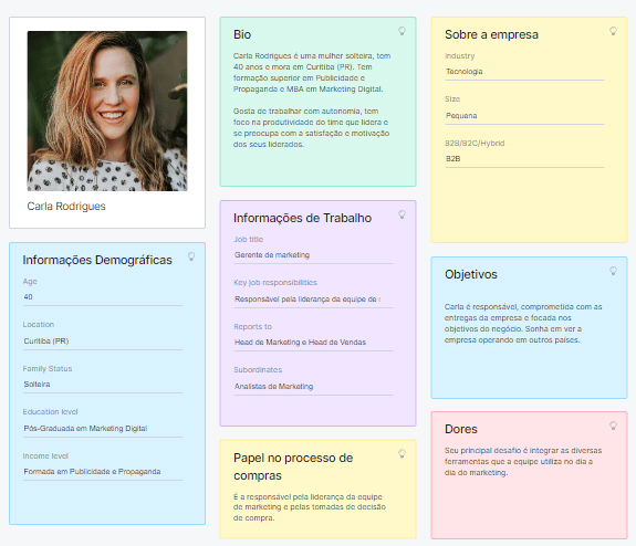 buyer persona B2B criado pelo SemRush