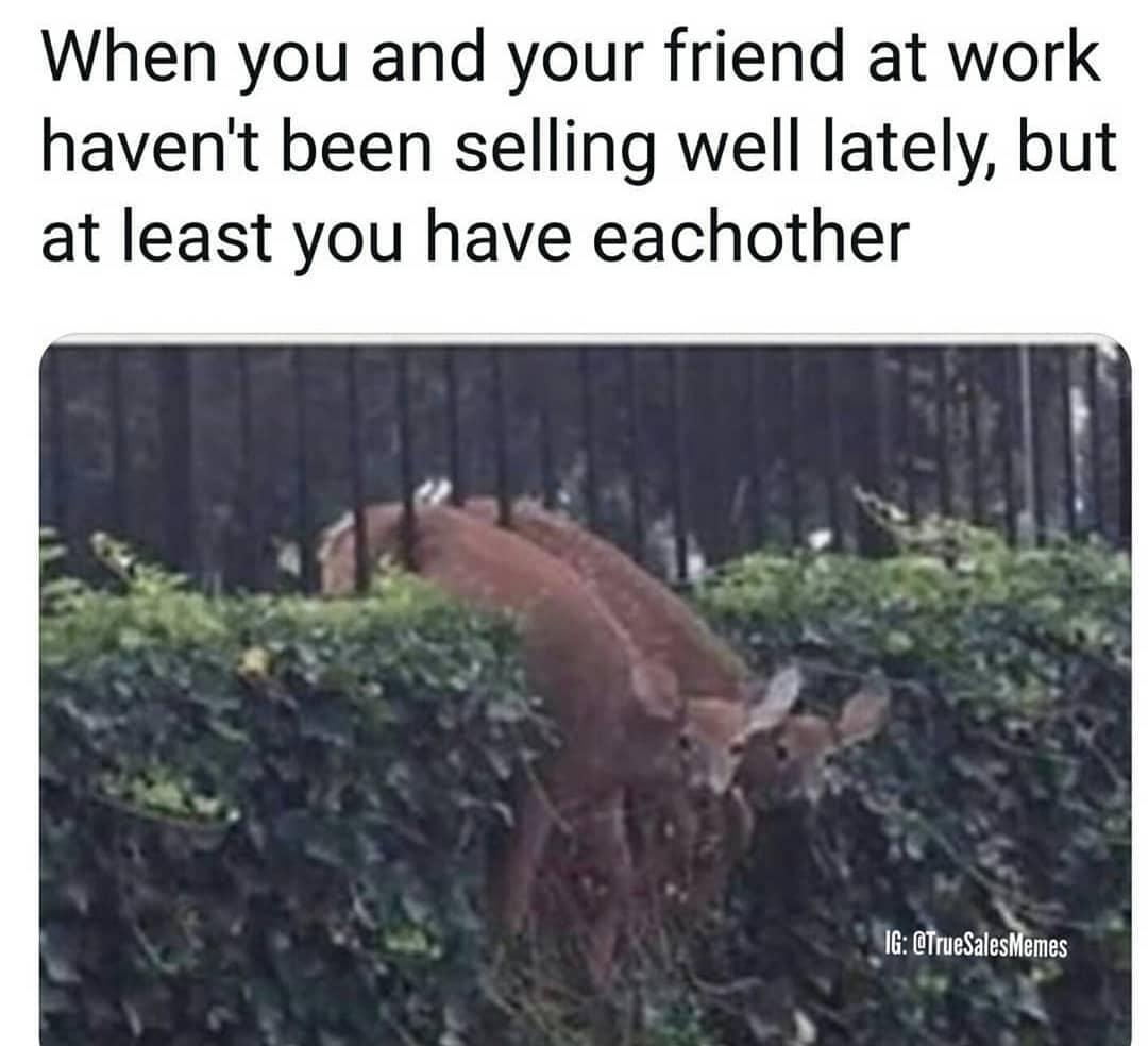 Funny Sales Memes Sales Humor Pipedrive